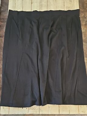 Avenue Black Paneled A-Line Skirt